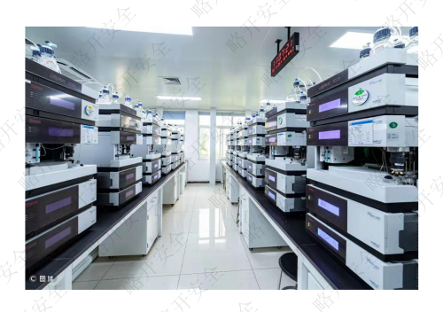 新建 DOCX 文档_00.png